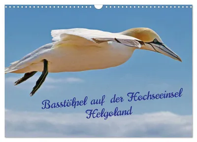 Produktbild von Basstölpel auf der Hochseeinsel Helgoland (Wandkalender 2027 DIN A3 quer), CALVENDO Monatskalender