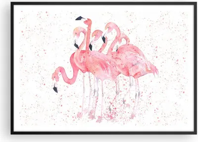 Produktbild von Gerahmtes Poster - Schwarzer Rahmen - Flamingo Vogel Wasser - 100x70 cm - Wand Bild - Wanddeko - Wandbilder - Wandposter - Bilderrahmen - Bilder - Kunstdruck - Wandbild - P2BAA100x70-3899