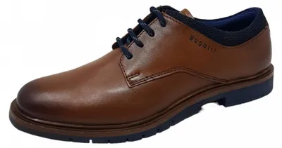 Image de Bugatti lacets élégants marron