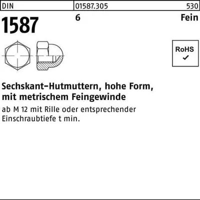 Produktbild von Reyher  Sechskant-Hutmuttern DIN 1587 6 M 24 x 2 (10 Stück)