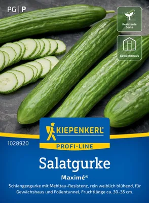 Produktbild von Kiepenkerl Salatgurkensamen Maximé F1 Cucumis sativus 6 Pflanzen