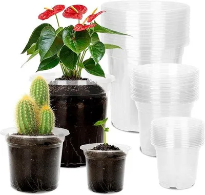 Produktbild von Plastische Orchidee- und Fettpflanzenpflanzbehälter 10/12/16,5 cm - durchsichtige Gewächshäuser für Zimmer- und Außenpflanzen