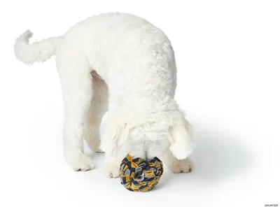 Produktbild von HUNTER Hundespielzeug Schnüffelball Eiby, Ø = 15 cm