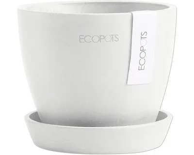Immagine prodotto di Ecopots Antwerp Sottovaso per vaso da fiori - L 11,5 cm x H 10,1 cm - Per interni ed esterni