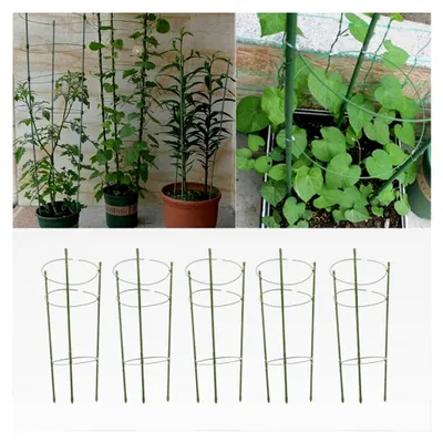Produktbild von 5er Rankhilfe für Gartenpflanzen, Gurkenturm mit Stützringen für Topfpflanzen, Kletterpflanzen, Tomaten und Gurken, robust (H: 60 cm)