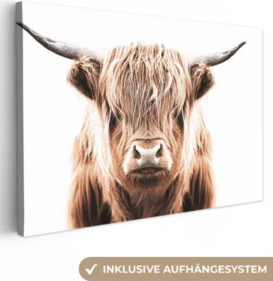 Zdjęcie produktu dla MuchoWow® - Obraz na płótnie - Szkocki góral - Krowa - Byk, fototapeta, dekoracja ścienna, obrazy do salonu, 90x60cm