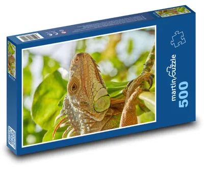 Zdjęcie produktu dla Puzzle 500 Legwan w dżungli - martinpuzzle