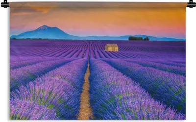 Produktbild von MuchoWow® Wandteppich Wandbehang Lavendel - Lila - Blumen 90x60 cm Tapisserie Dekoration Wandtuch - Wandskulpturen - Bildteppich