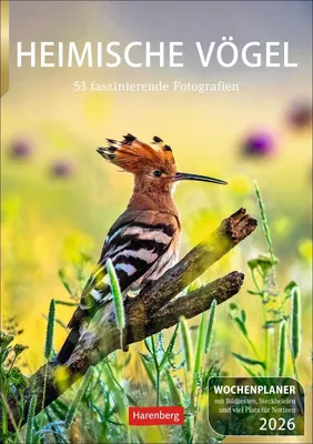 Produktbild von Hattstein, M: Heimische Vögel Wochenplaner 2026