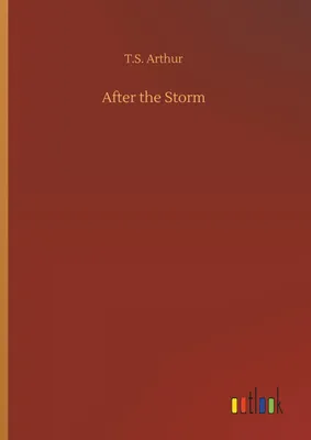 Produktbild von After the Storm