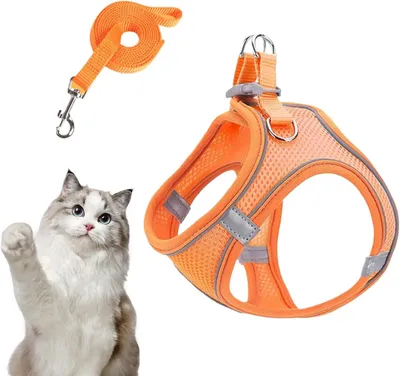 Produktbild von Hundegeschirr- und Leinen-Set für kleine Hunde und Katzen, ausbruchsicher