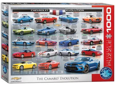 Produktbild von EUROGRAPHICS Puzzle Evolution Camara 1000 Teile
