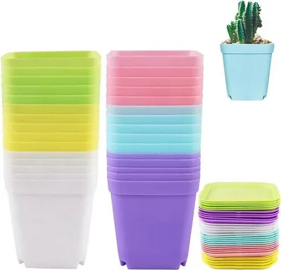 Immagine prodotto di Set di 30 vasi in plastica colorata per bulbi, piante grasse e piccole piante, completo di sottovaso