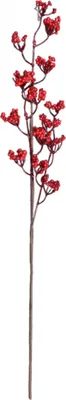 Zdjęcie produktu dla Nohel Garden Branch BERRIES AUTUMN red 73cm