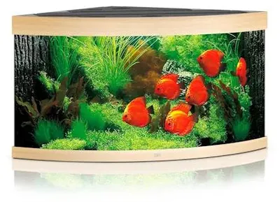 Productafbeelding van Juwel Trigon 350 LED | 350L | 123 x 87 x 65CM Lichthout