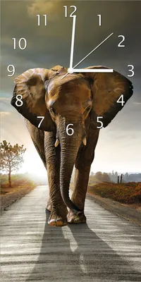 Produktbild von Wallario Design Wanduhr bedruckt, Größe 30 x 60 cm, Motiv: Elefant bei Sonnenaufgang in Afrika