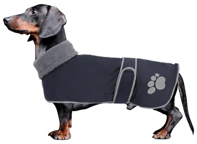 Immagine prodotto di Giacca invernale impermeabile per Teckel - Abbigliamento per cani con fodera in pile caldo - Blu navy - Taglia M