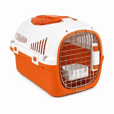 Produktbild von SNOEKIE Skylight Katzen Transportbox mit Obereinstieg – Reisebox für Katzen bis 6KG & Kleine Hunde,, KI-generiertes Bild