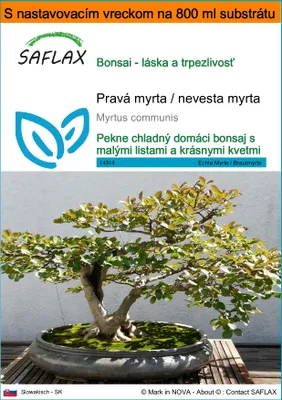 Obrázok produktu pre SAFLAX Garden in the bag - Pravá myrta / nevesta myrta - Myrtus communis - 30 Semená - S pestovateľským substrátom v praktickom samostaviteľnom vrecku