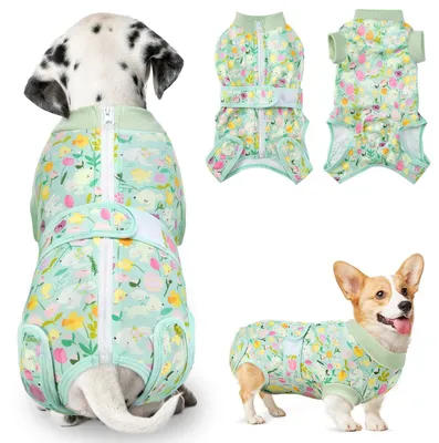 Immagine prodotto di Solidchoice - Abbigliamento di riabilitazione per cani, alternativa al collare elettronico dopo l'intervento chirurgico