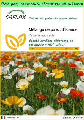 Image de SAFLAX Garden to go - Mélange de pavot d'Islande - 8000 graines - Papaver