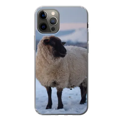 Produktbild von MuchoWow® Handyhülle Schutzhülle Hülle für iPhone 13 Pro Schaf - Schnee - Berg Silikon Softcase Handy Hülle - Handy-Tasche