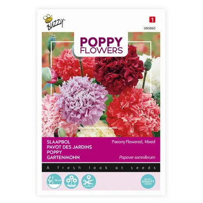 Immagine prodotto di Buzzy Poppy Fiori Papavero Paeoniflorum Gef. mix. Semi - Circa 1 gr | Buzzy_080860