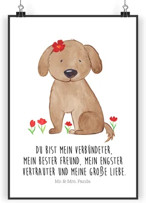 Produktbild von Mr. & Mrs. Panda Bild Hund Dame DIN A4 - Weiß - Geschenk, Deko, Sprüche, wandkunst, Plakat, Liebenswert, Hundeglück, drucke, Liebe, wanddeko, Verliebt, Hunde