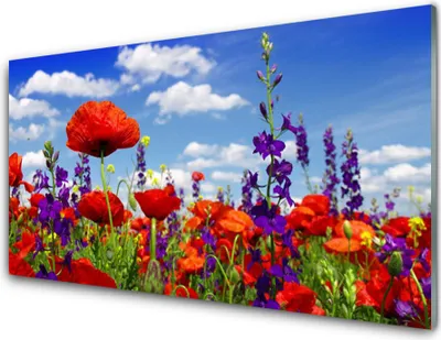 Imagen del producto de Impresiones en acrílico, tamaño 100x50 cm, para colgar en la pared. Motivo: tulipanes, naturaleza