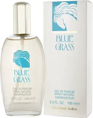 Produktbild von Elizabeth Arden Blue Grass EDP 100 ml W