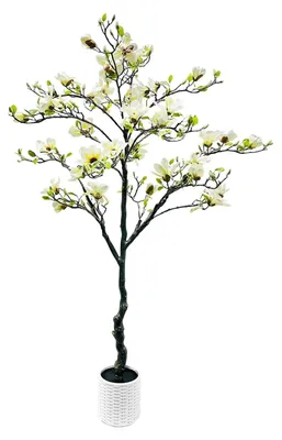 Produktbild von Künstlicher Magnolienbaum - Topfpflanze - 180 cm - Realistische Blüten - Bodenstehend - Für Innen/Außen - Weiß