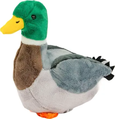 A stuffed toy duck is shown against a white background.
