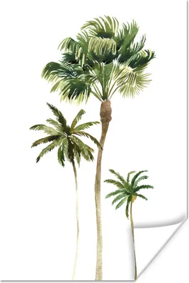 Produktbild von MuchoWow® Poster Dschungel - Palme - Weiß 40x60 cm - Plakate für die Wand - Poster Babyzimmer