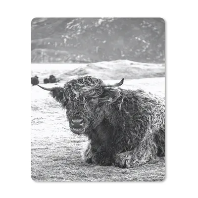 Produktbild von MuchoWow® Mauspad Mousepad Schottischer Highlander - Berg - Tiere 30x40 cm - Mousepads - Maus Mat - Pad - Mausunterlage - Mausmatten