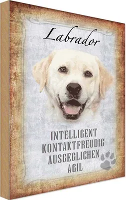 Produktbild von vianmo Holzschild 18x12 cm Labrador Hund Tier Haustier