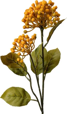 Immagine prodotto di Fiore artificiale Clayre & Eef 53 cm giallo plastica