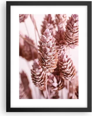 Produktbild von Gerahmtes Poster - Schwarzer Rahmen - Getrocknet Blume Eco - 30x40 cm - Wand Bild - Wanddeko - Wandbilder - Kunstposter - Wandposter - Bilderrahmen - Bilder - Kunstdruck - P2BPA30x40-4912