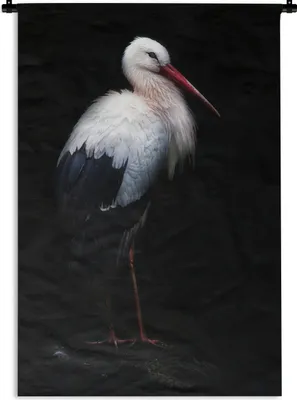 Produktbild von MuchoWow® Wandteppich Wandbehang Porträtstorch auf schwarzem Hintergrund 120x180 cm Tapisserie Dekoration Wandtuch - Schlafzimmer - Dekorationen für das Haus