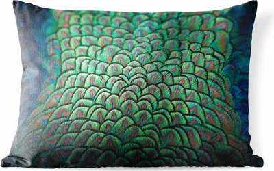 Produktbild von MuchoWow® Outdoor Kissen - Pfau - Federn - Muster - 50x30 cm - Wetterfest - Lounge Kissen - Sofa kissen - Wohnzimmer Dekoration