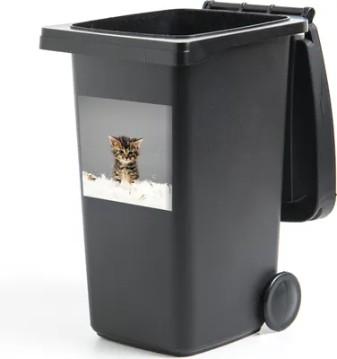 Produktbild von MuchoWow® Mülltonnenaufkleber Katze - Kätzchen - Federn 40x40 cm - Abfall-Aufkleber - Container - für Abfallcontainer