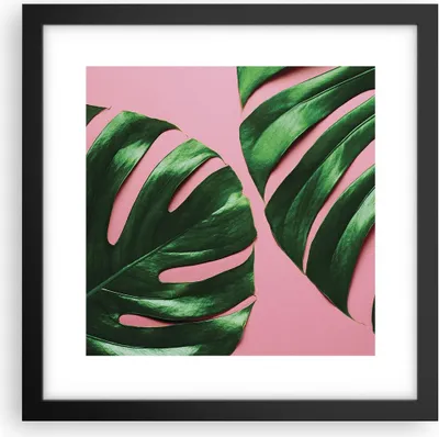Produktbild von Gerahmtes Poster - Schwarzer Rahmen - Monstera Blatt Rosa - 30x30 cm - Wand Bild - Wanddeko - Wandbilder - Kunstposter - Wandposter - Bilderrahmen - Bilder - Kunstdruck - P2BAC30x30-4407