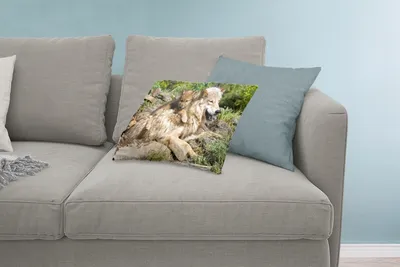 Produktbild von MuchoWow® Zierkissen Sofakissen Wohnzimmer Dekokissen 60x40 cm Wolf - Jungtier - Tier - Kopfkissen - Polster mit Foto