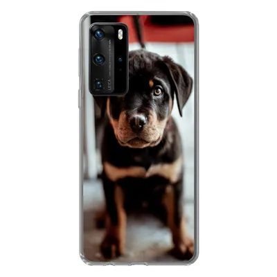 Produktbild von MuchoWow® Handyhülle Schutzhülle Hülle für Huawei P40 Pro Jung - Hund - Kamera Silikon Softcase Handy Hülle - Schutz