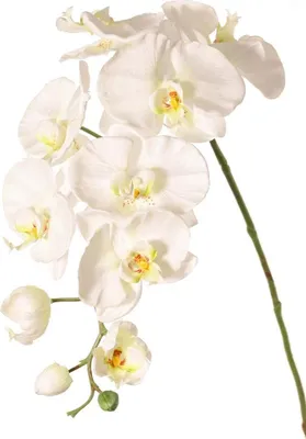 Produktbild von artplants.de Kunstzweig Orchidee WESA, weiß, 100cm - Deko Blume Phalaenopsis