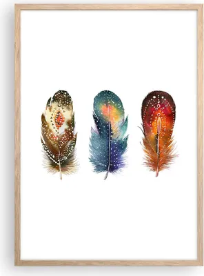 Produktbild von Gerahmtes Poster - Rahmen in heller Eiche - Feder Vogel Farbe - 50x70 cm - Wand Bild - Wanddeko - Wandbilder - Kunstposter - Wandposter - Bilderrahmen - Bilder - Kunstdruck - P2NPA50x70-4927