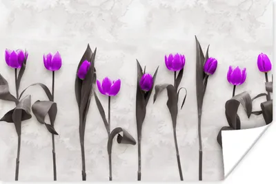 Produktbild von MuchoWow® Poster Blumen - Tulpen - Lila 180x120 cm - Fotoplakat
