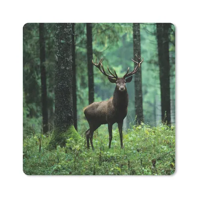 Produktbild von MuchoWow® Mauspad Mousepad Hirsche - Wald - Bäume - Tiere - Natur 20x20 cm - Mousepads - Maus Mat - Pad - Mausunterlage - Desk Mat - Bureauartikeln