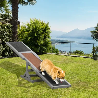 Zdjęcie produktu dla Drewniana huśtawka zwinnościowa dla psów, trening i psie sporty, dla dużych psów, 180x30x30cm