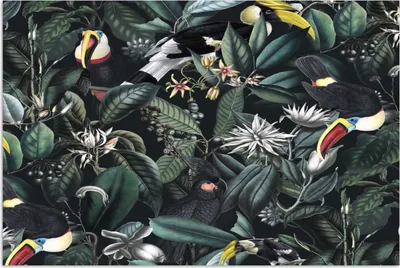 Produktbild von MuchoWow® Poster Blumen - Tukan - Blätter 60x40 cm - Schlafzimmerdekoration