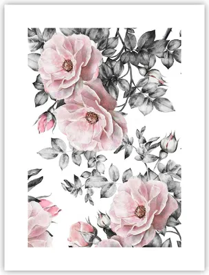 Produktbild von Poster - Poster ohne Rahmen - Blumen Blätter Pflanze Rose - 30x40 cm - Wand Bild - Wanddeko - Wandbilder - Kunstposter - Wandposter - Bilder - Kunstdruck - Wanddekoration - Wandbild - P2XPA30x40-2952